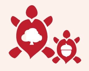Acorn logo