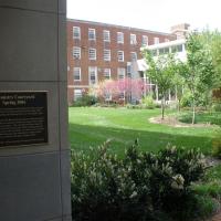 Chemistry Courtyard Spring bloom.