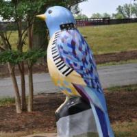 Blues Bird