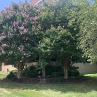 Sturtz Garden