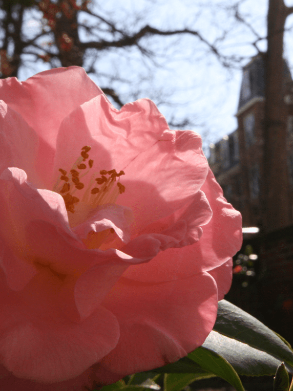 April Remembered